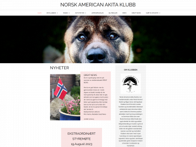 american-akita.no snapshot