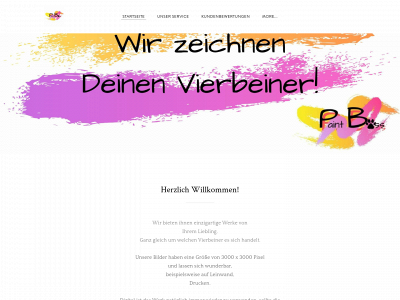 paintbosss.weebly.com snapshot