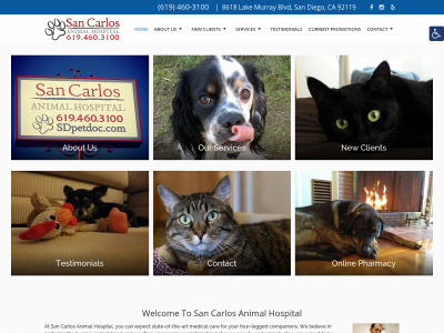 sdpetdoc.com snapshot