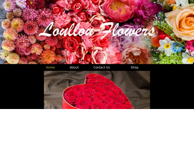 loullouflowers.co.uk snapshot