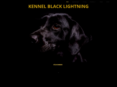blacklightning.se snapshot