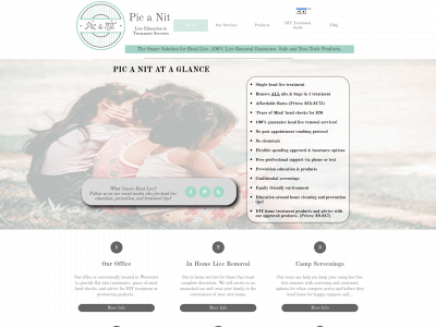 picanit.com snapshot