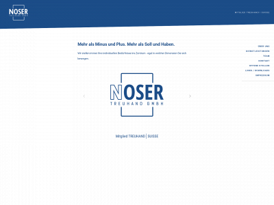noser-consulting.ch snapshot
