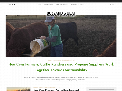 buzzardsbeat.com snapshot