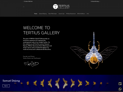 tertiusgallery.com snapshot
