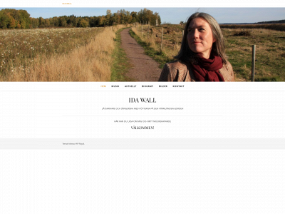 idawall.se snapshot