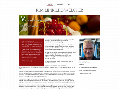 kimlimkildewelcher.dk snapshot
