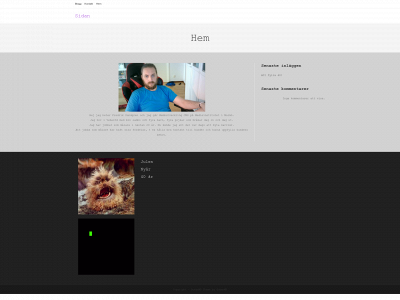 dev4us.se snapshot