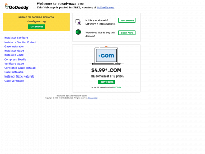 steadygaze.org snapshot