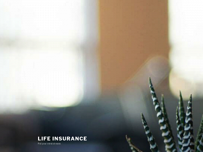 life-insurance-experts.com snapshot