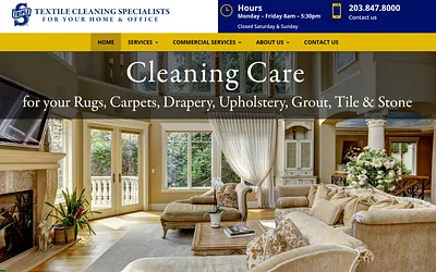 triplesclean.com snapshot