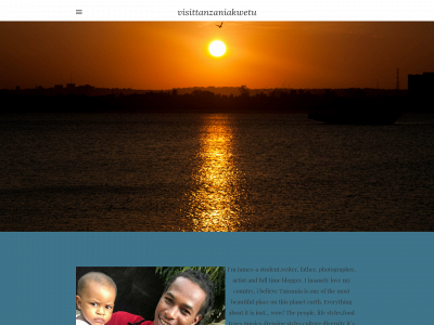 bideberiarts.weebly.com snapshot