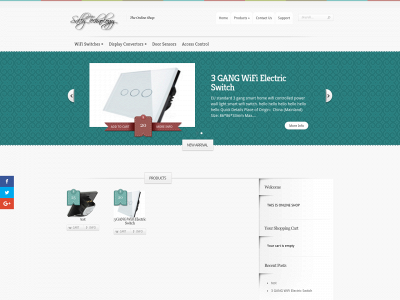 sallytechnology.com snapshot