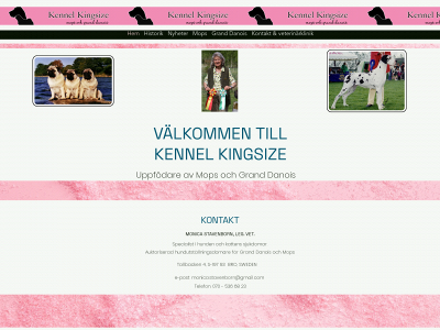 kennelkingsize.se snapshot