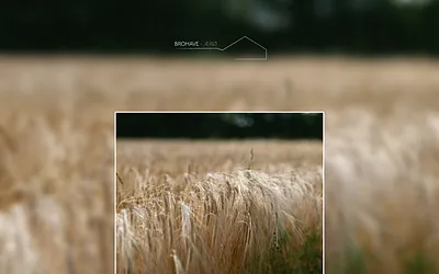 brohave-aeroe.com snapshot