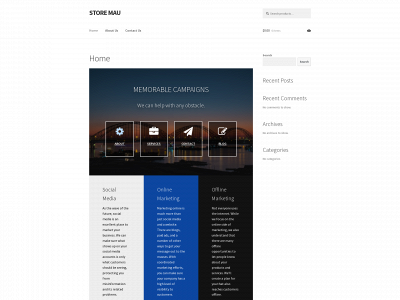 storemau.co snapshot