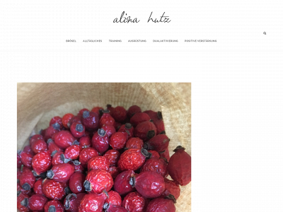 alina-hutz.com snapshot