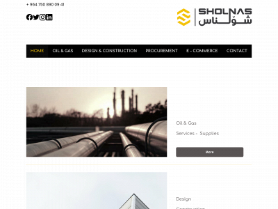 sholnas.com snapshot