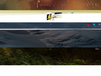 visionsandstylesbydj.com snapshot