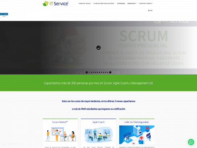 itservice.com.co snapshot