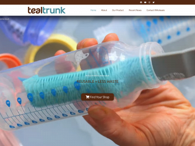 tealtrunk.com snapshot