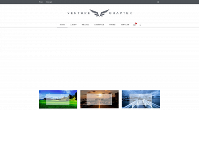 venturechapter.com snapshot
