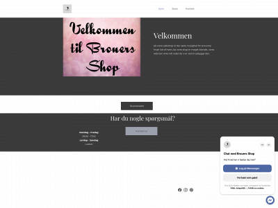 brouersshop.online snapshot