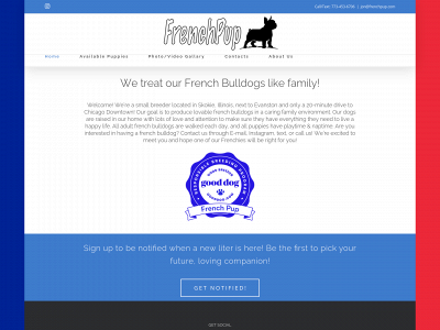 frenchpup.com snapshot