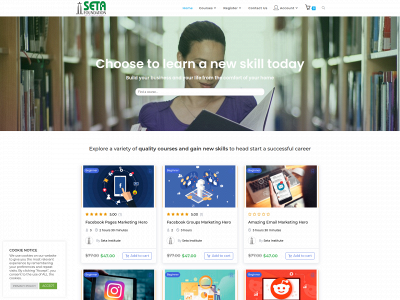 setainstitute.tech snapshot