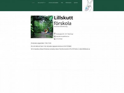 lillskutt.se snapshot