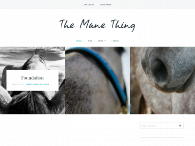 themanethingblog.com snapshot