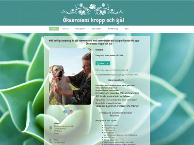 okenrosen.se snapshot
