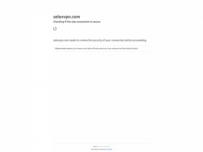 selexvpn.com snapshot