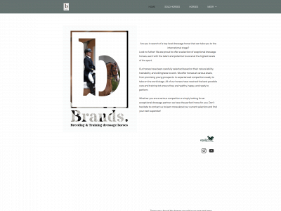brands-dressagehorses.com snapshot