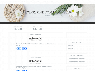 exodox.online snapshot