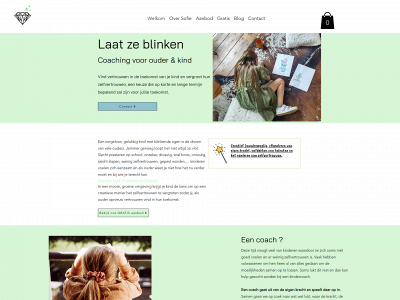 laatzeblinken.be snapshot