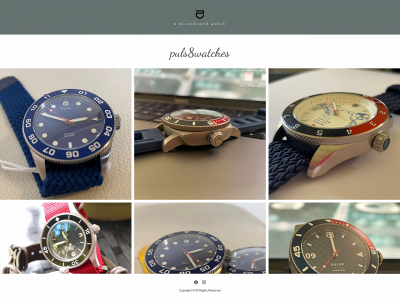 puls8watches.com snapshot