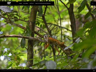 dfwildlife.com snapshot