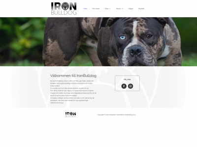 ironbulldog.se snapshot
