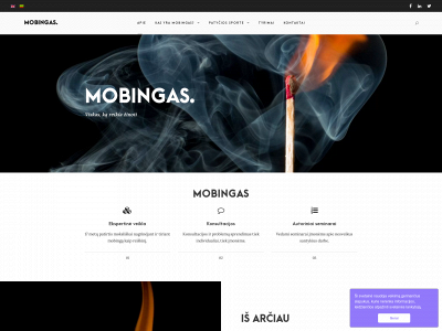 mobingas.lt snapshot