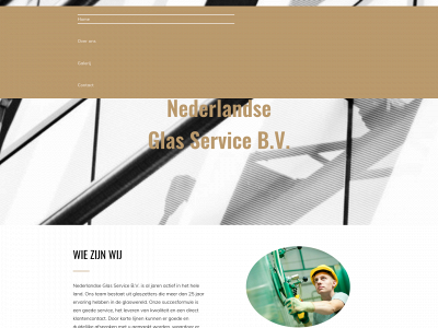 nederlandseglasservice.nl snapshot