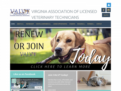 www.valvt.org snapshot