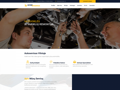 sostinesautoservisas.lt snapshot