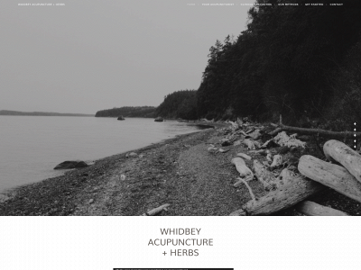 whidbeyacupuncture.com snapshot