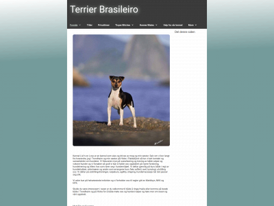brasiliansk-terrier.no snapshot