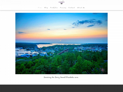 trishcleveland91.weebly.com snapshot