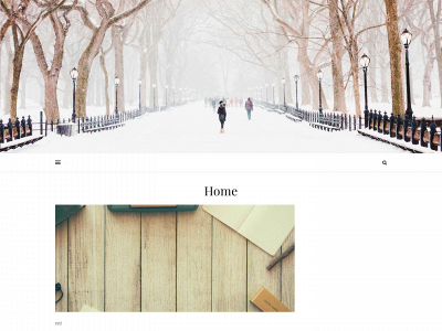 thetedious20s.com snapshot