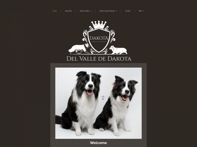 bordercolliesdedakota.es snapshot