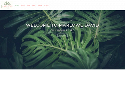 marlowedavid.com snapshot