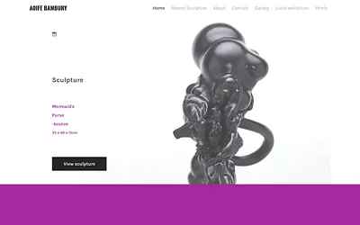 www.aoifebambury.com snapshot